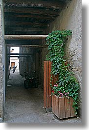 castellane, colors, europe, france, green, ivy, motorcycles, provence, slow exposure, towns, tunnel, vertical, photograph