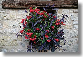 europe, fayence, flowers, france, horizontal, provence, windows, photograph