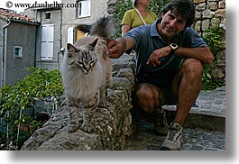 cats, europe, fayence, france, horizontal, men, nicos, people, provence, photograph