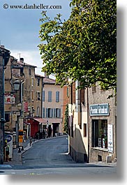 branches, europe, fayence, france, nature, plants, provence, towns, trees, vertical, photograph