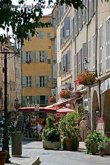 flowers-n-buildings-1.jpg