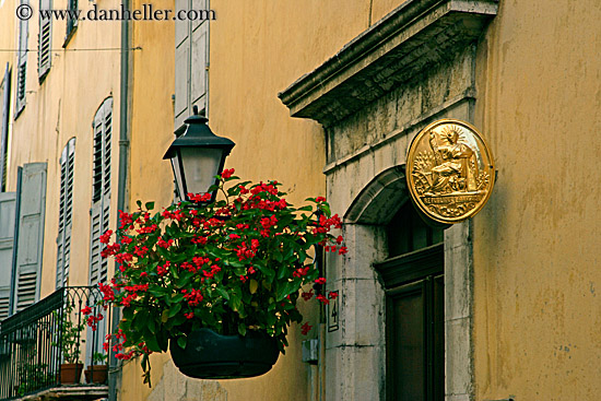 hanging-flowers-n-bldg-1.jpg