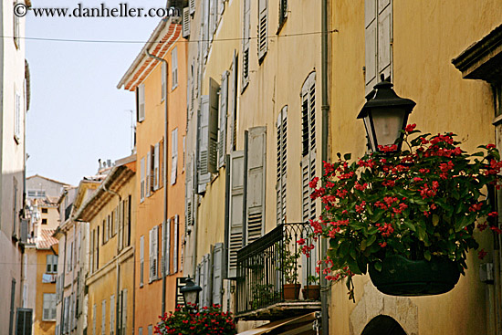 hanging-flowers-n-bldg-2.jpg