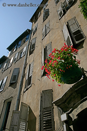 hanging-flowers-n-bldg-3.jpg
