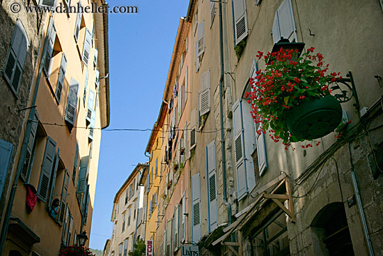 hanging-flowers-n-bldg-5.jpg