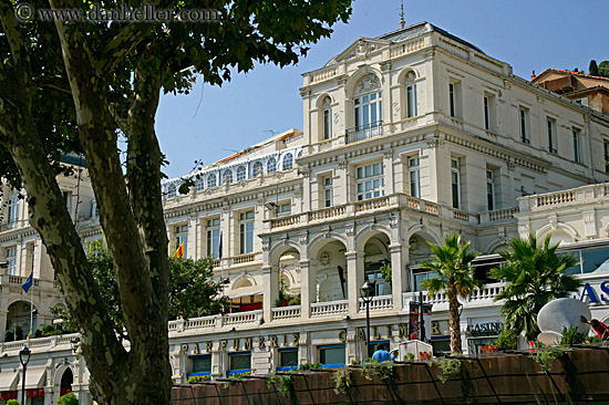 hotel-n-tree.jpg