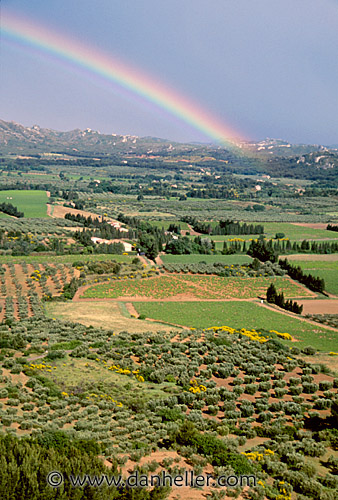rainbow03.jpg
