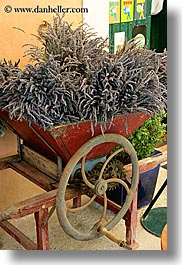 arts, europe, flowers, france, lavender, moustiers, nature, provence, st marie, vertical, photograph