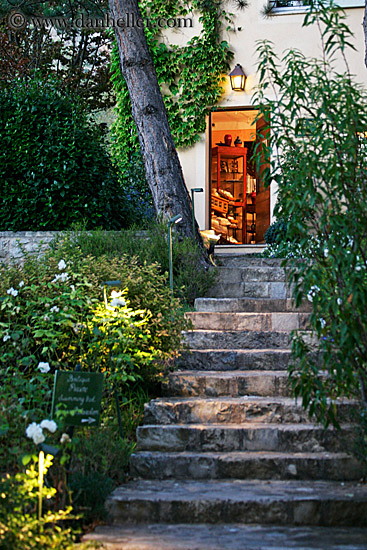stairs-plants-n-doorway.jpg