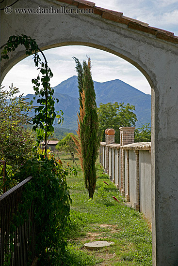 cyprus-tree-thru-arch.jpg