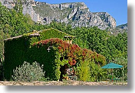 covered, europe, france, horizontal, houses, ivy, moustiers, provence, scenics, st marie, photograph