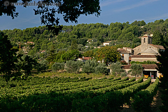 vineyard-n-monestary.jpg