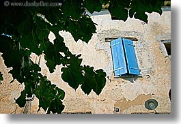 blues, branches, colors, europe, france, green, hangings, horizontal, irises, leaves, leavesn, nature, plants, provence, seillans, trees, valley, windows, photograph