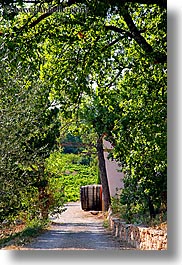 barrels, branches, colors, europe, foods, france, green, irises, nature, plants, provence, seillans, tree tunnel, trees, tunnel, valley, vertical, wine barrel, photograph