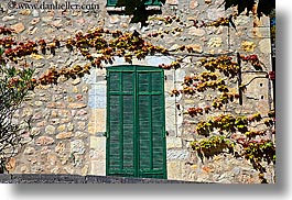 colored, colors, europe, france, green, horizontal, ivy, materials, nature, plants, provence, seillans, shutters, stones, photograph