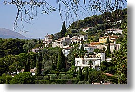 branches, europe, france, hills, homes, horizontal, nature, plants, provence, scenics, st paul, trees, photograph