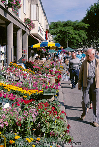 flower-market.jpg