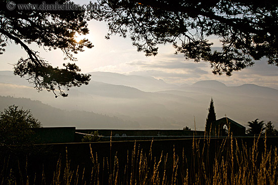 graveyard-n-branches.jpg