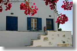 amorgos, bougainvilleas, buildings, europe, greece, horizontal, houses, red, white, white wash, photograph