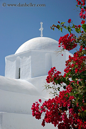 church-n-red-bougainvillea-2.jpg