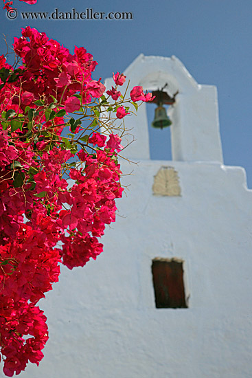 church-n-red-bougainvillea-3.jpg