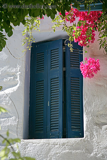 blue-shutters-n-bougainvillea.jpg