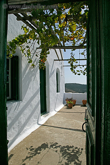 green-door-open-to-vine-covered-patio.jpg