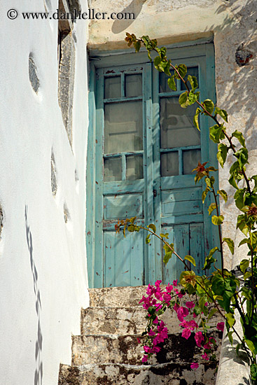 old-door-n-bougainvillea.jpg
