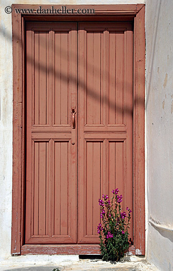 orange-door-w-purple-flowers.jpg
