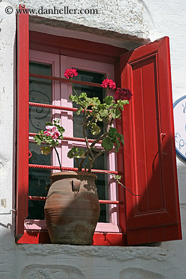 Red Geraniums in Window