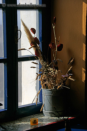 dried-flowers-in-window.jpg