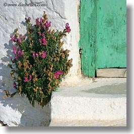 amorgos, doors, dried, europe, flowers, greece, square format, step, photograph