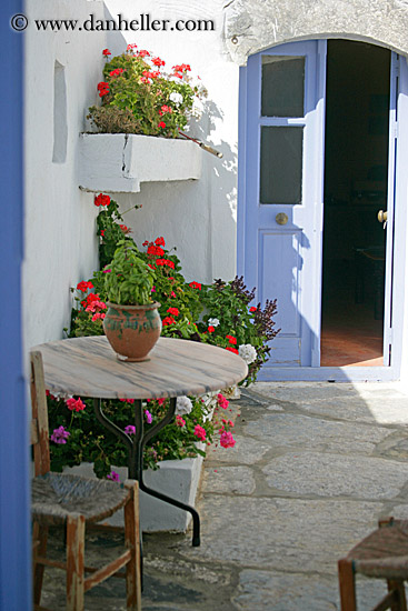 flowers-n-purple-door.jpg