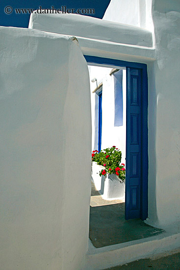 geraniums-thru-blue-door.jpg