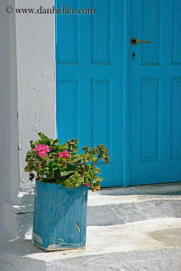 pink-geraniums-n-blue-door.jpg