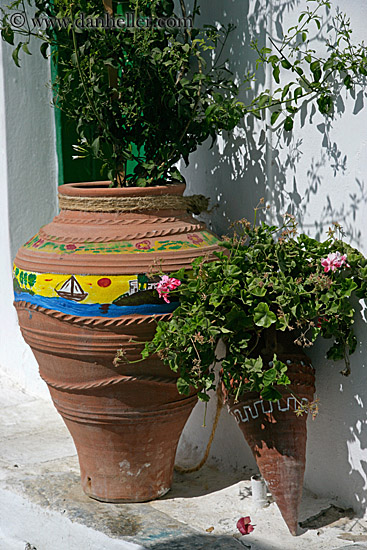 plants-in-terracotta-vases.jpg
