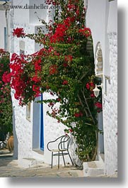 amorgos, bougainvilleas, chairs, europe, flowers, greece, nature, red, vertical, photograph