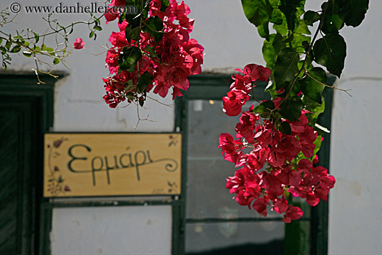 red-bougainvillea-n-sign.jpg