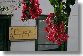 amorgos, bougainvilleas, europe, flowers, greece, horizontal, nature, red, signs, photograph