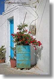 amorgos, bougainvilleas, drums, europe, flowers, greece, red, steel, vertical, white wash, photograph