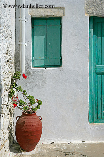 red-geraniums-n-green-window-shutter.jpg