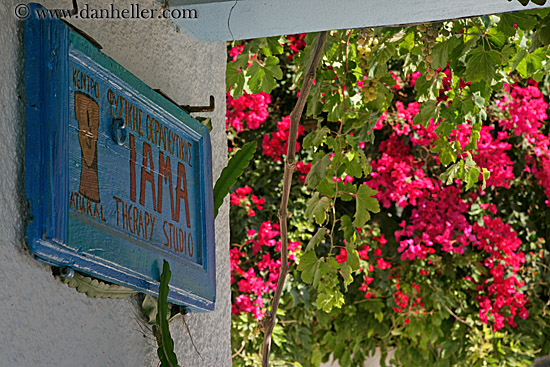 sign-n-bougainvillea-3.jpg