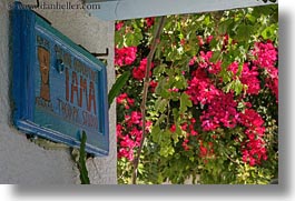 amorgos, bougainvilleas, colors, europe, flowers, greece, horizontal, red, signs, photograph