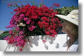 amorgos, blonds, bougainvilleas, clothes, europe, flowers, greece, hats, horizontal, nature, people, pink, red, sunglasses, womens, photograph