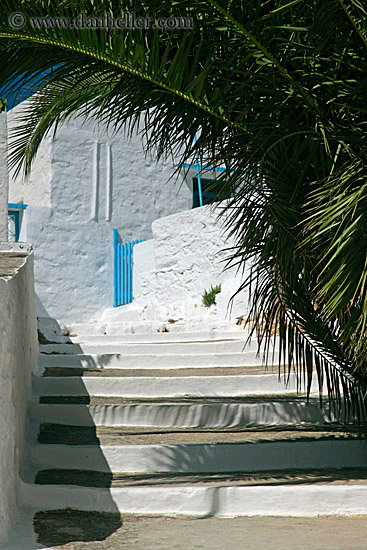palm_tree-stairs-n-blue-gate.jpg