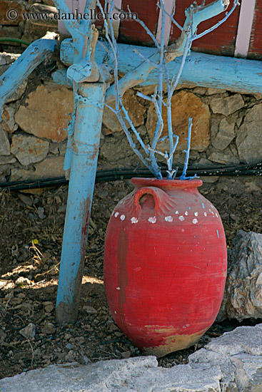 red-pot-n-blue-tree.jpg