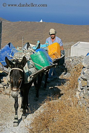 man-n-donkey-carrying-sand.jpg