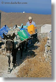 amorgos, carrying, donkeys, europe, greece, men, people, sand, vertical, photograph