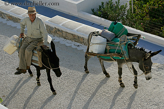 man-riding-on-donkey-1.jpg