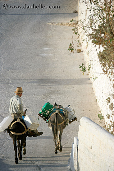 man-riding-on-donkey-2.jpg